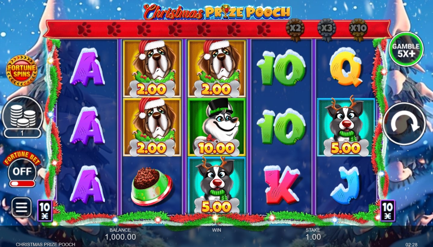 Christmas Prize Pooch