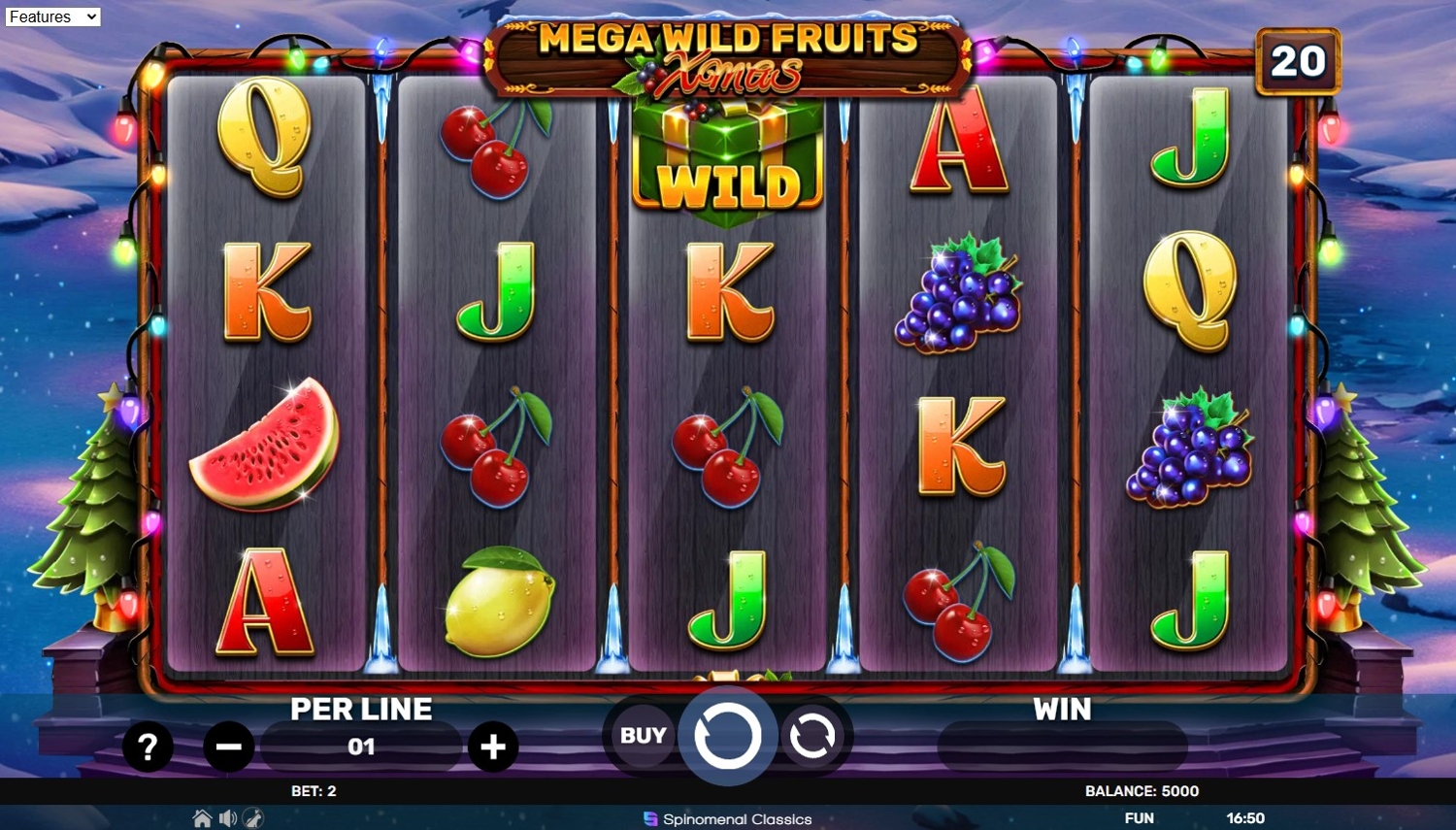 Mega Wild Fruits - Xmas
