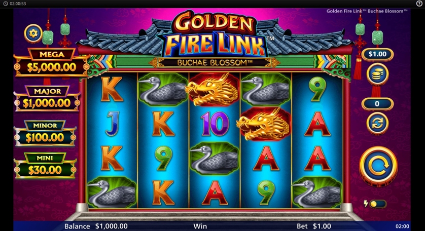 Golden Fire Link Buchae Blossom