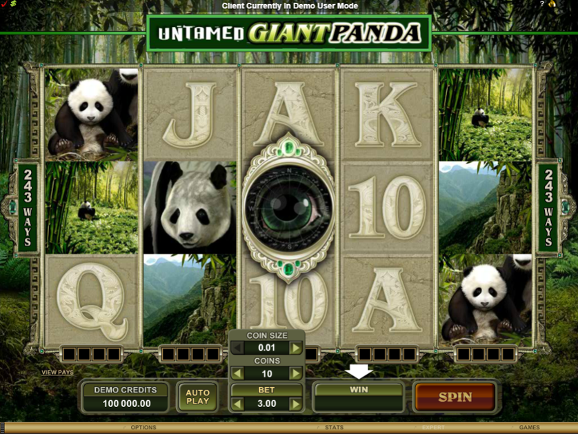 Untamed Giant Panda