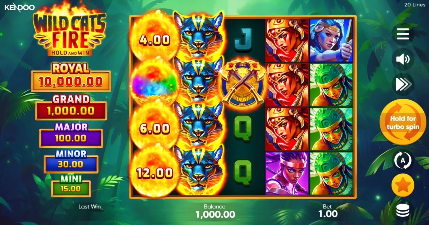 Wild Cats Fire