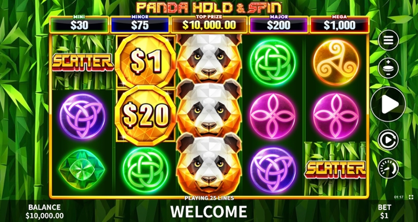 Panda Hold & Spin