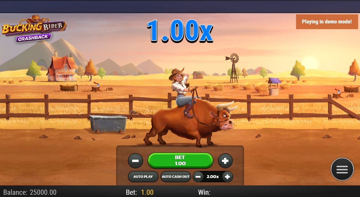 Bucking Rider