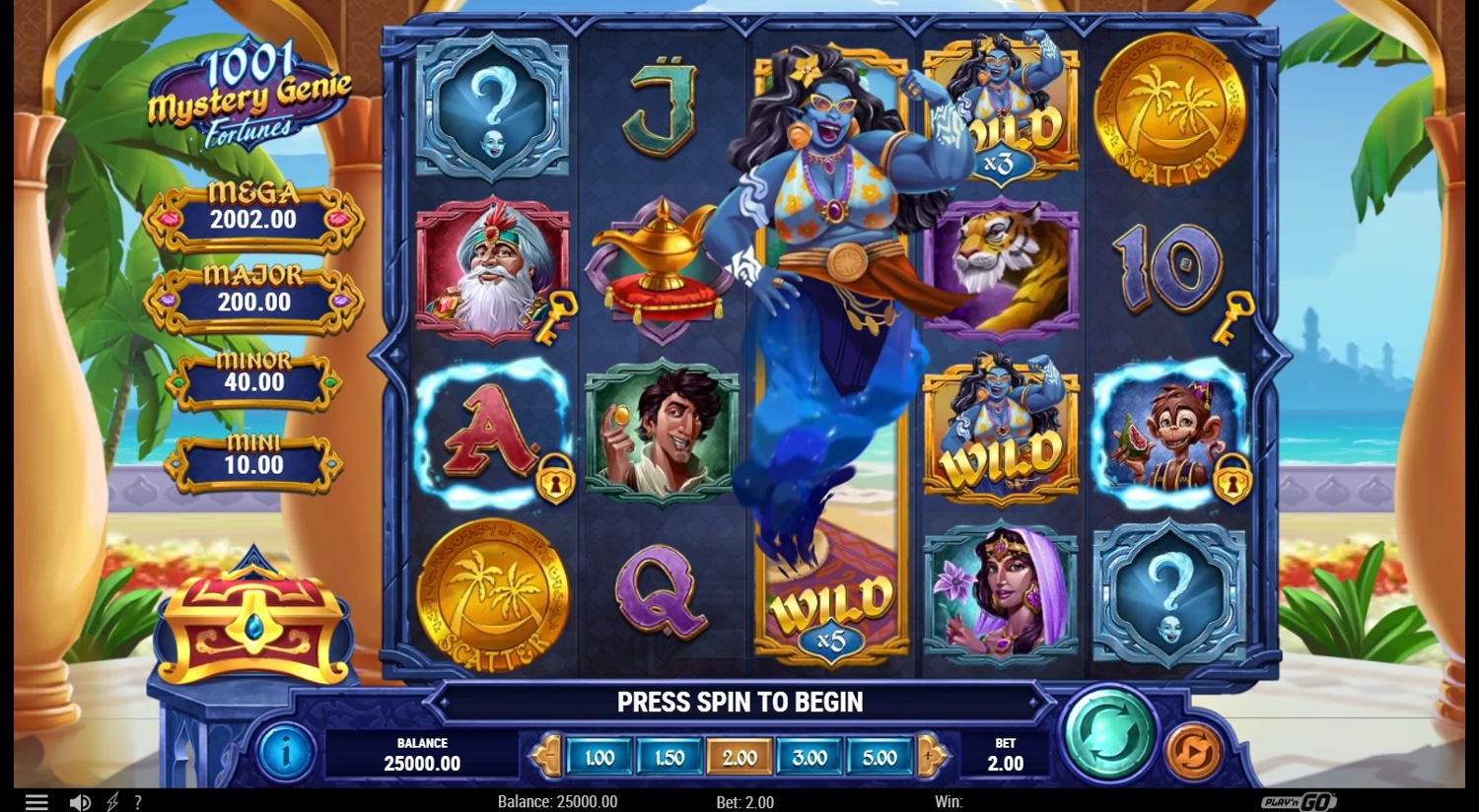 1001 Mystery Genie Fortunes