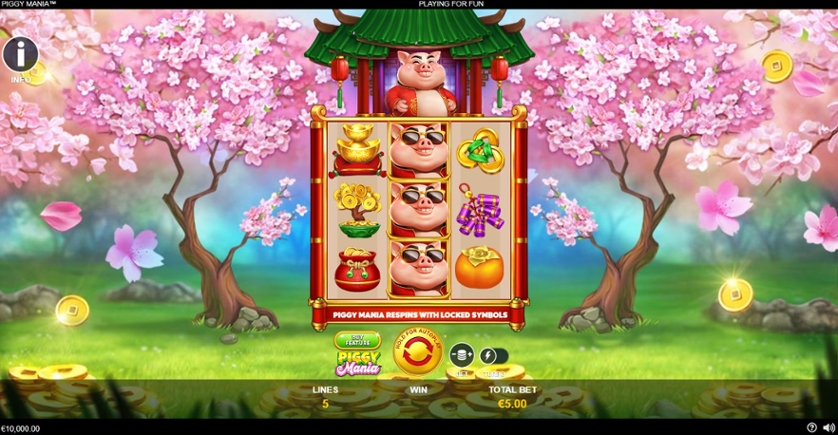 Piggy Mania