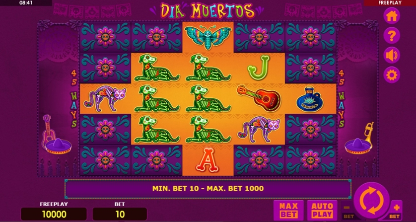 Dia Muertos