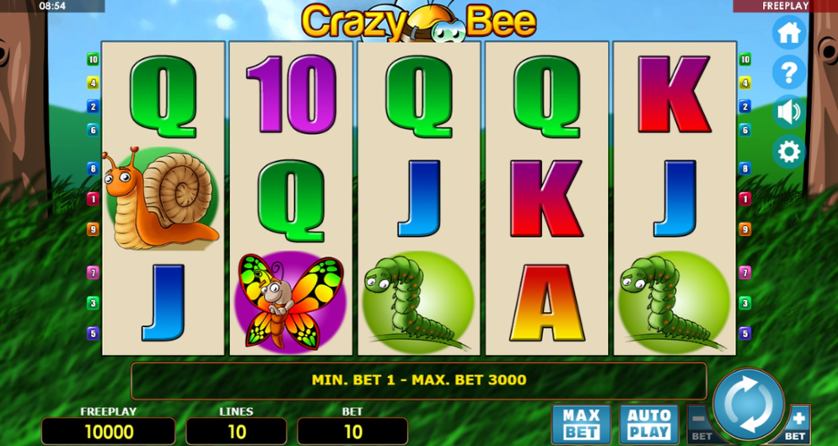 Crazy Bee