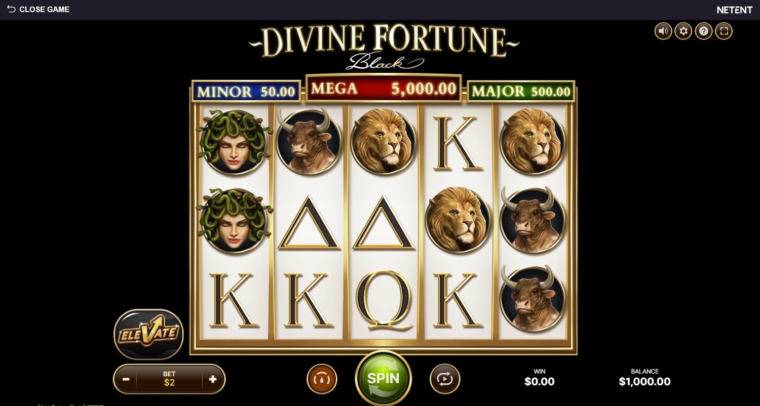 Divine Fortune Black