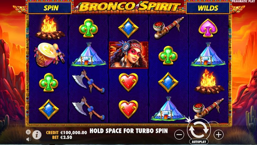 Bronco Spirit