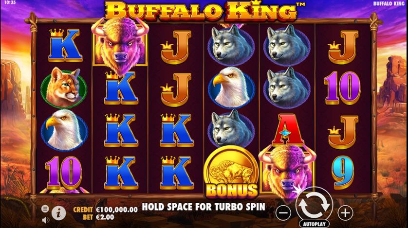 Buffalo King