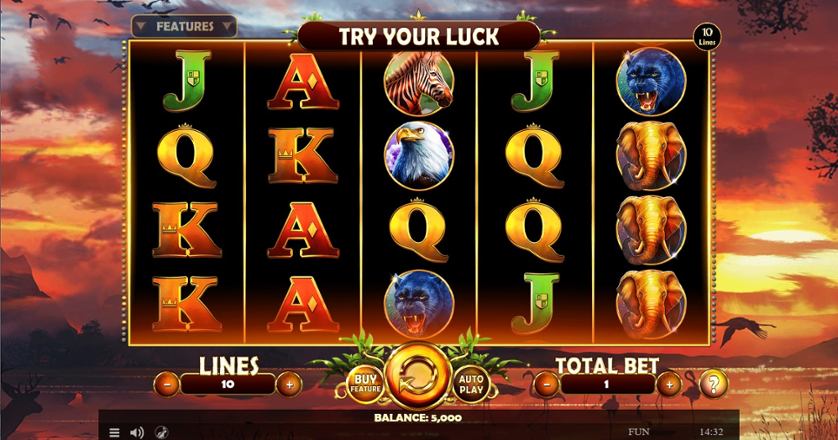 African Fortune