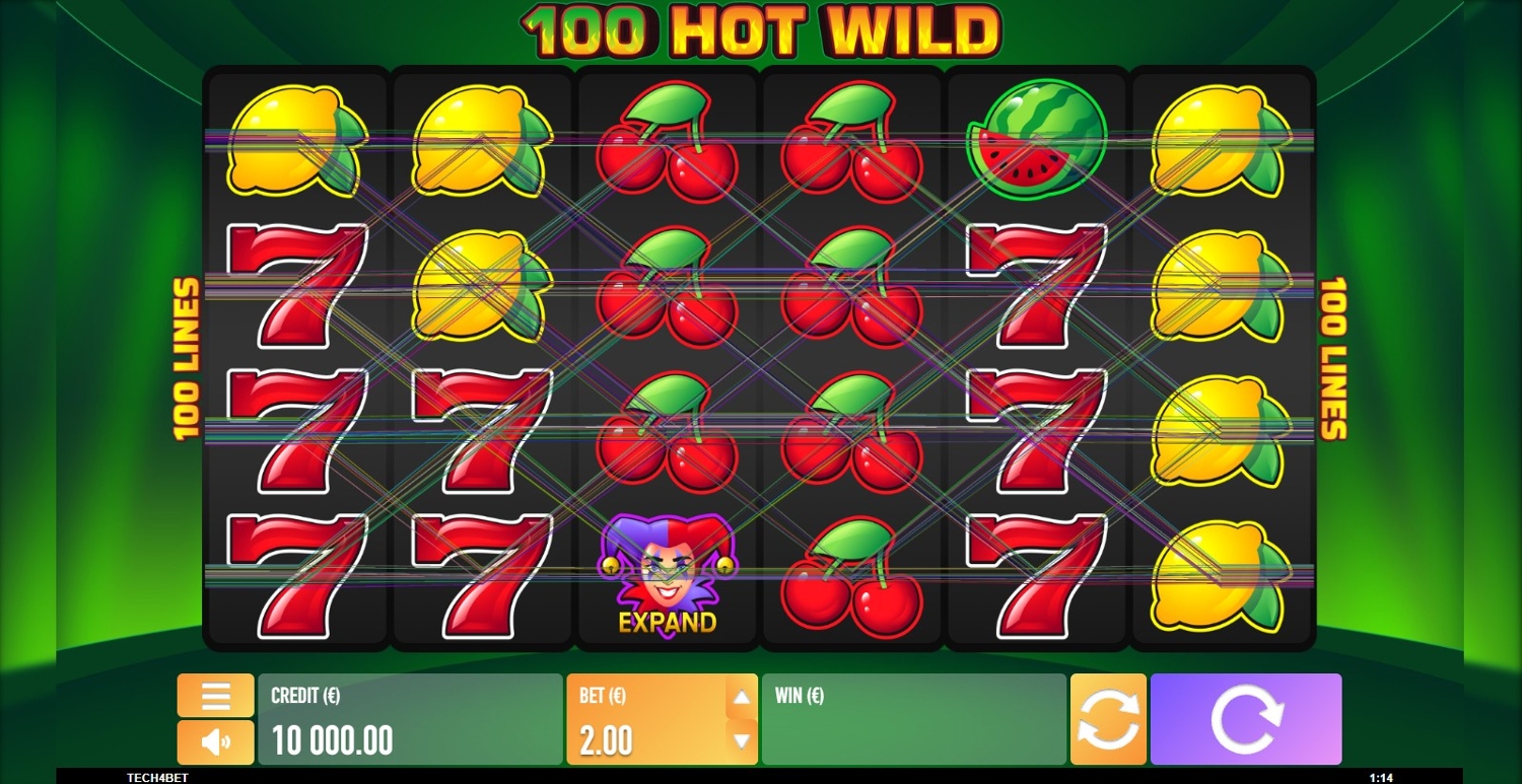 100 Hot Wild