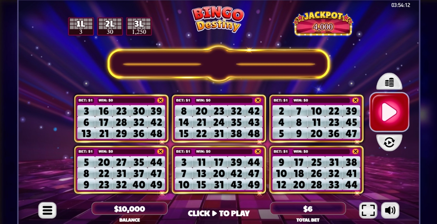 Bingo Destiny