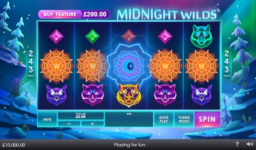 Midnight Wilds