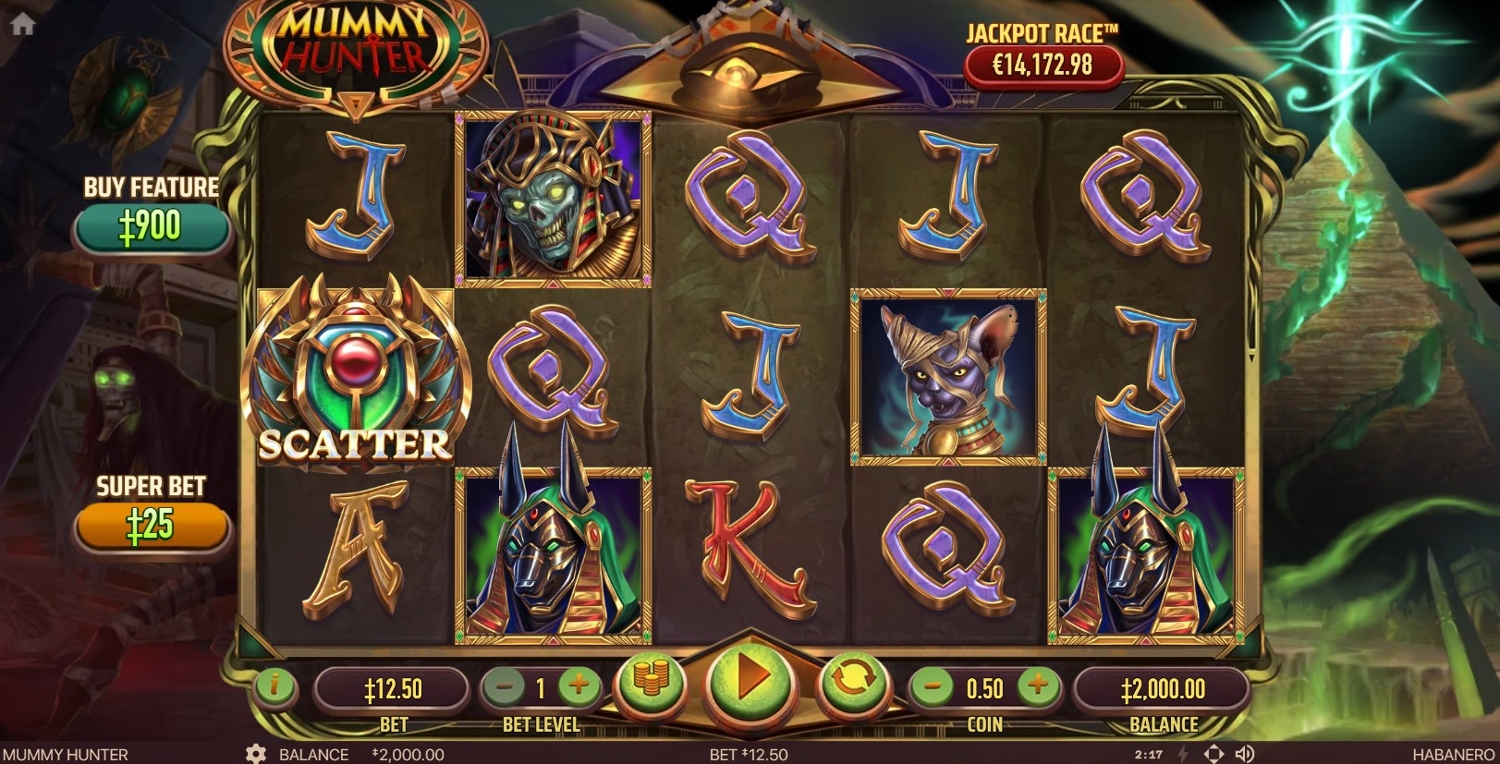 Mummy Hunter
