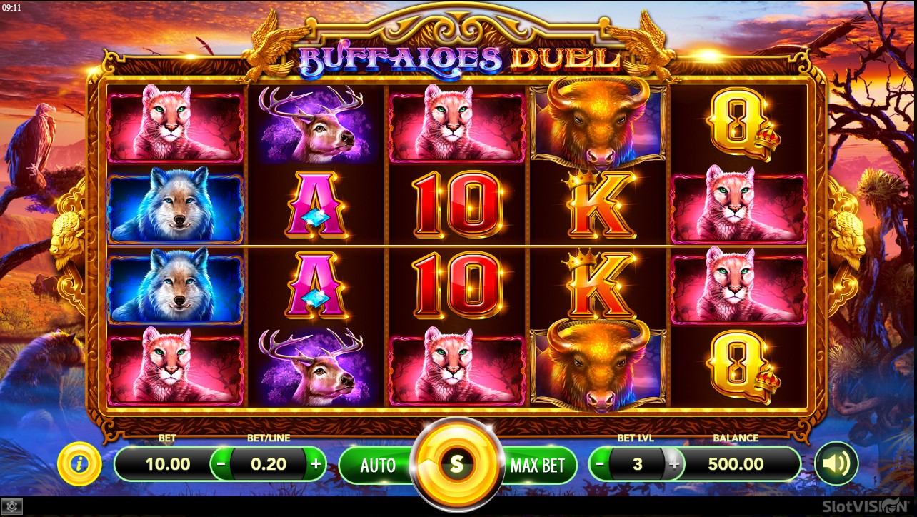 Buffaloes Duel