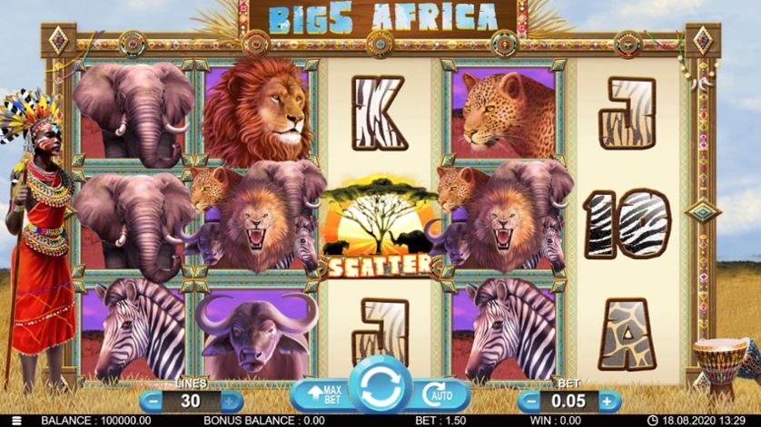 Big 5 Africa