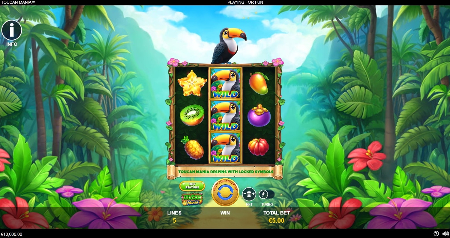 Toucan Mania