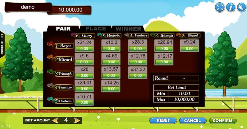 Pony Horse Racing