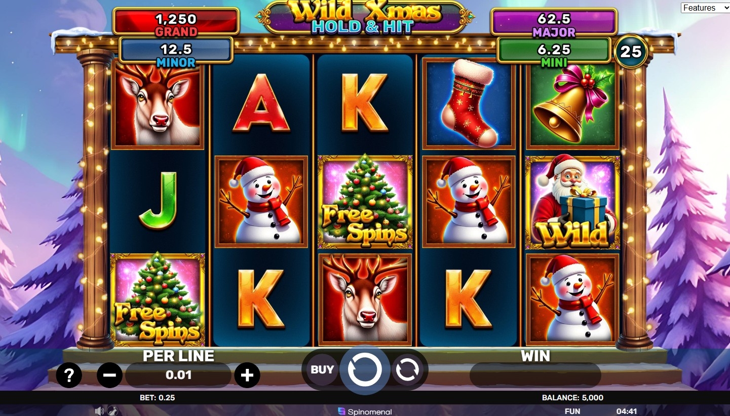 Wild Xmas Hold & Hit