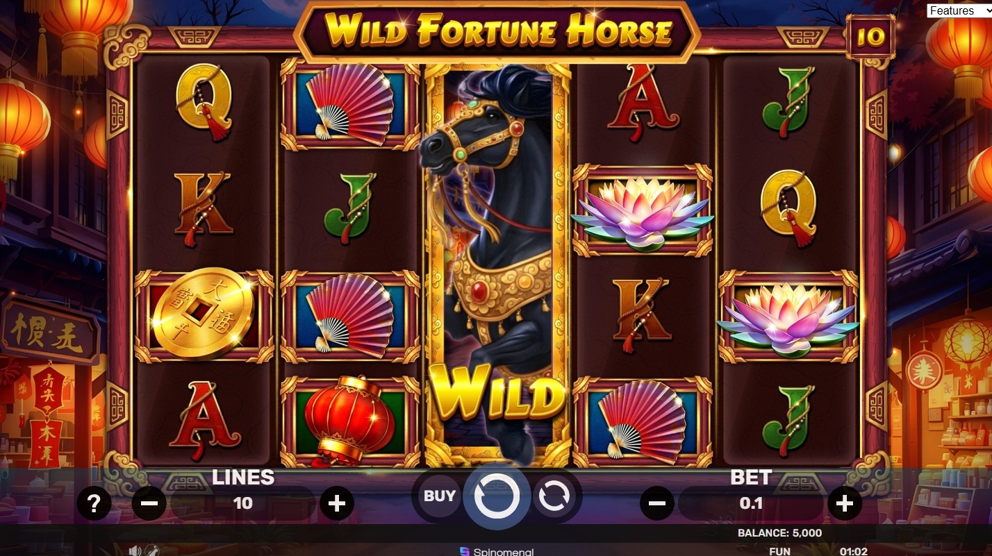 Wild Fortune Horse