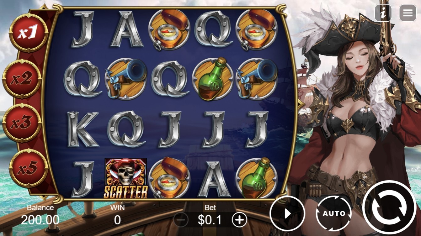Pirate Queen: Treasure Raid