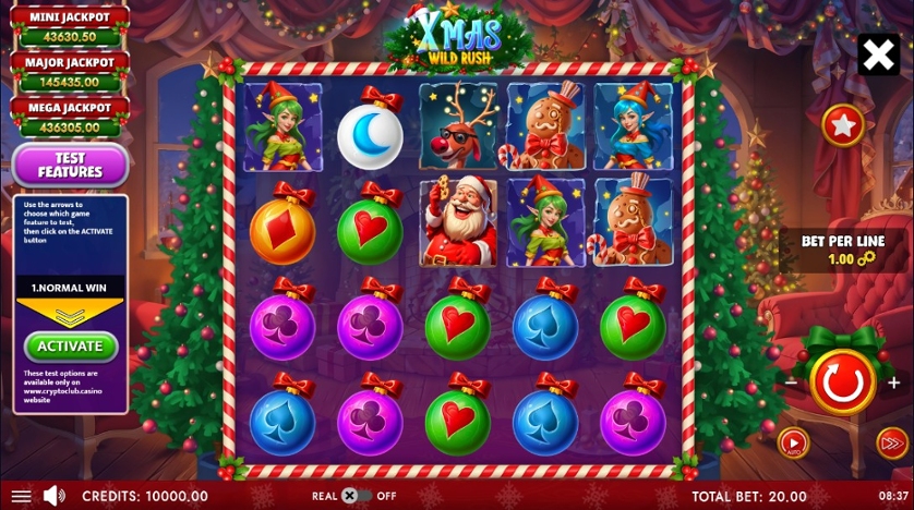 XMAS WILD RUSH