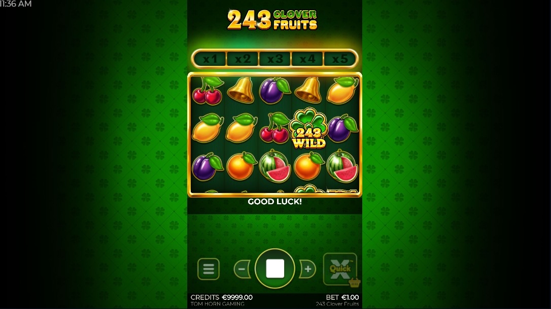 243 Clover Fruits