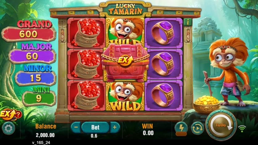 Lucky Tamarin