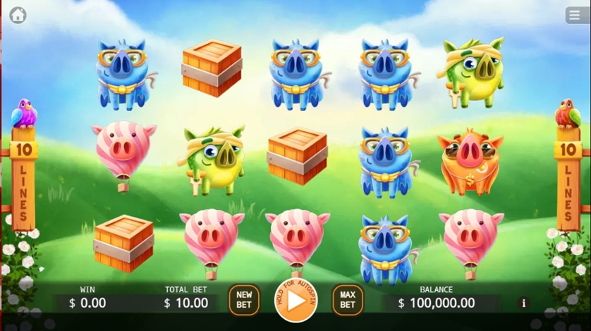 Angry Piggies
