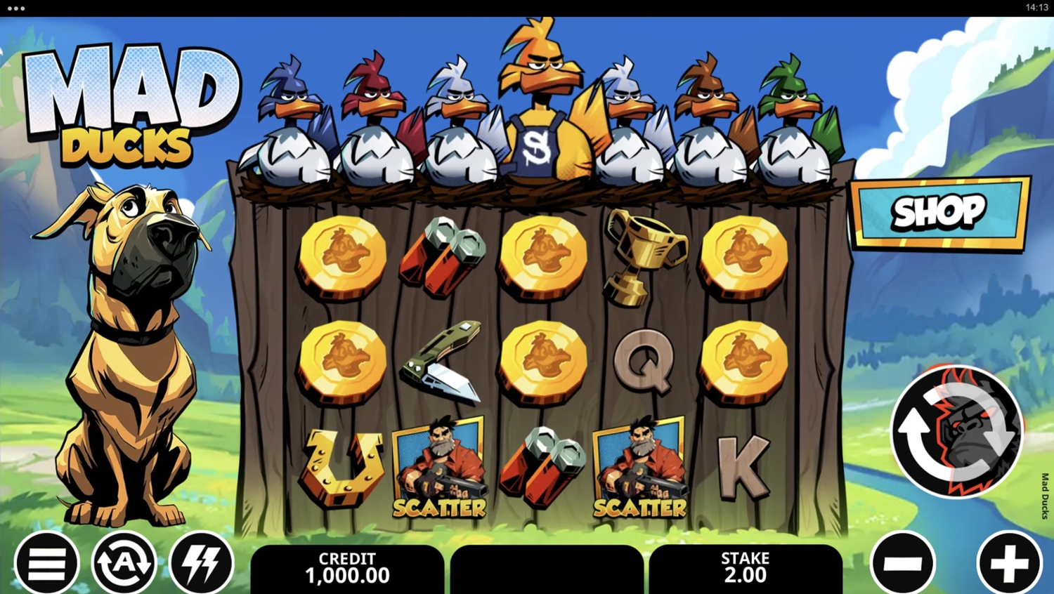 Mad Ducks