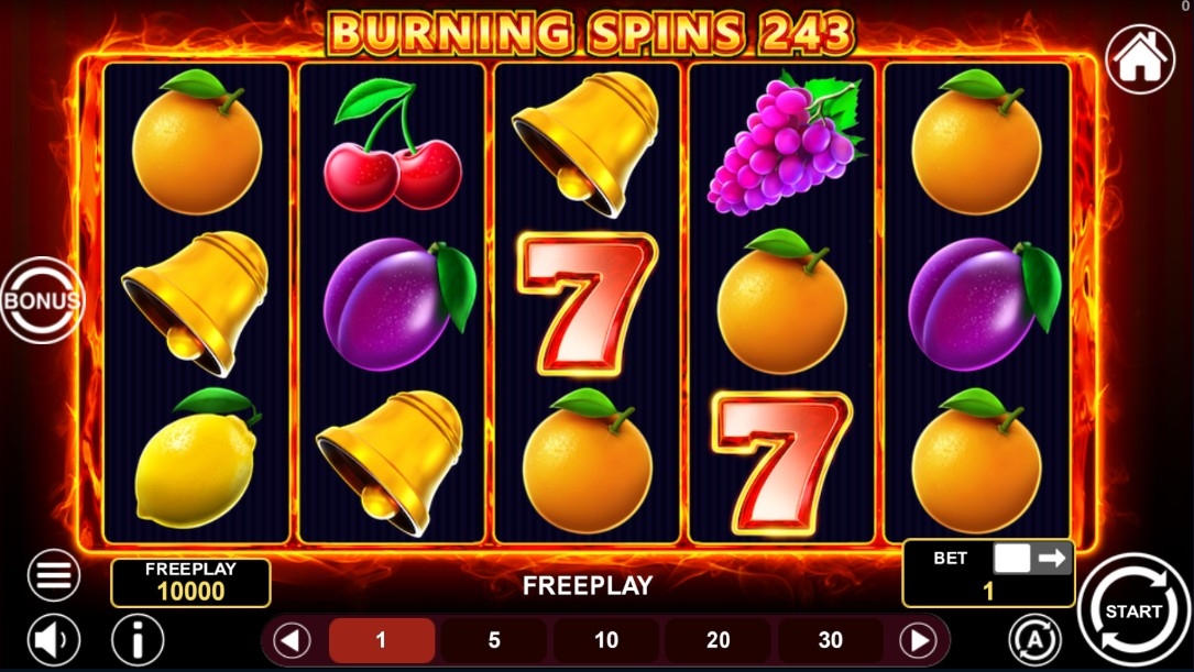 Burning Spins 243