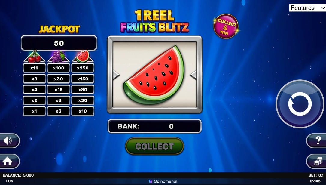1 Reel - Fruits Blitz