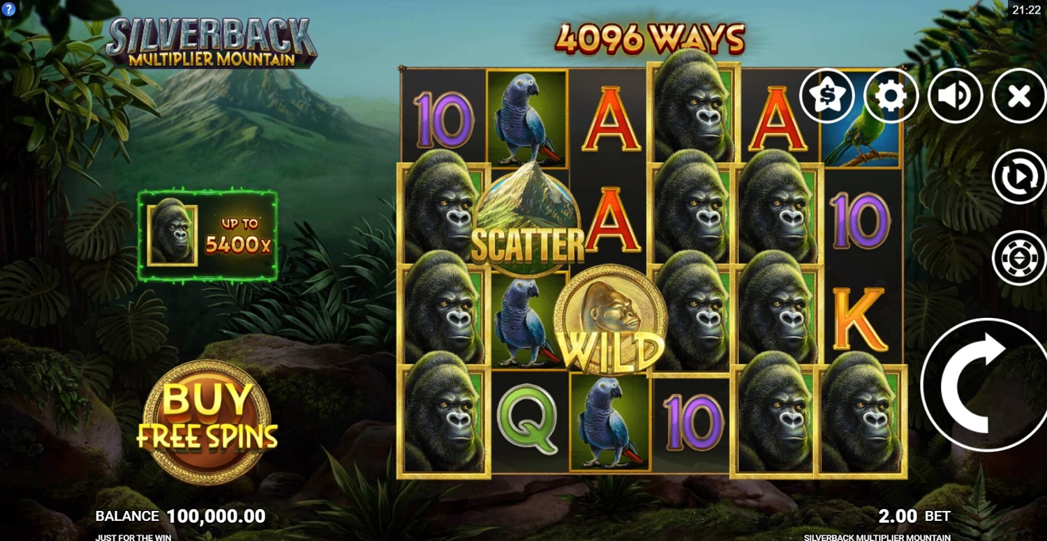 Silverback: Multiplier Mountain