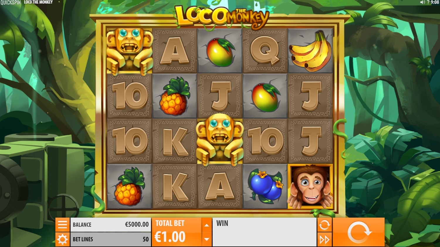 Loco the Monkey