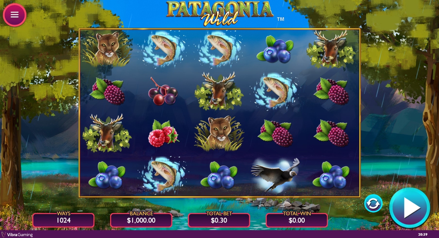 Patagonia Wild
