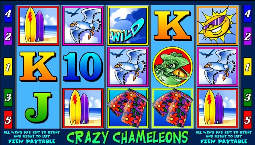 Crazy Chameleons