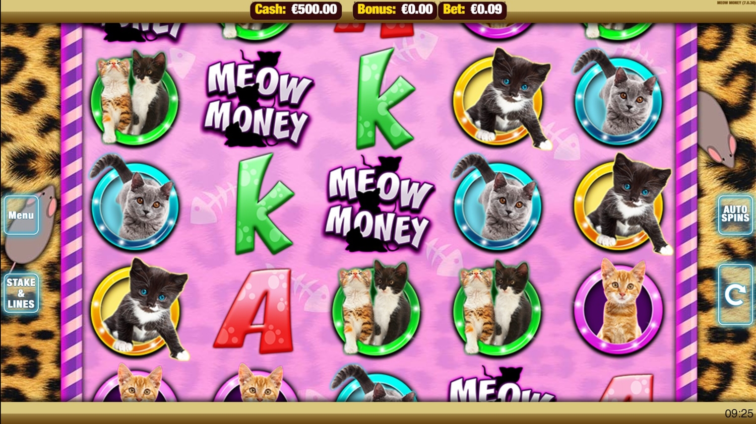 Meow Money