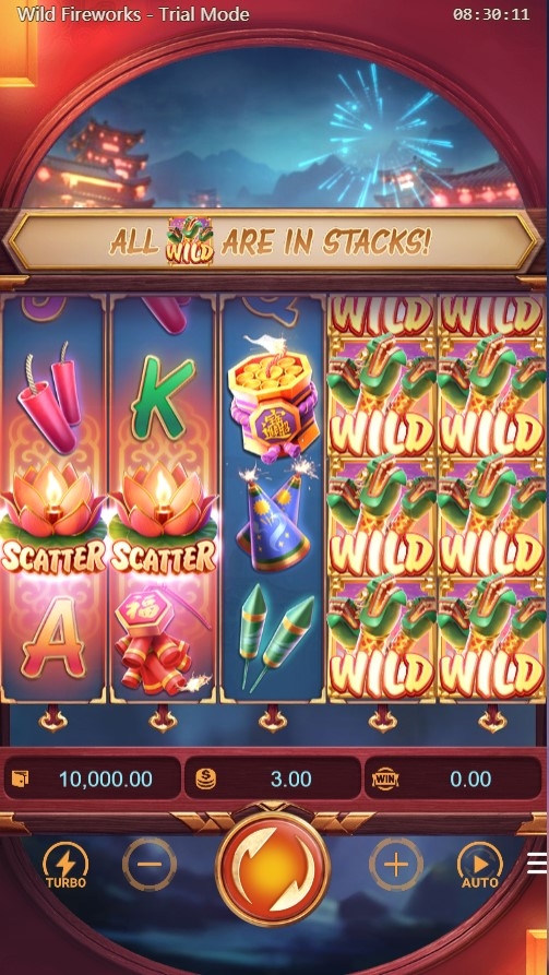 Wild Fireworks