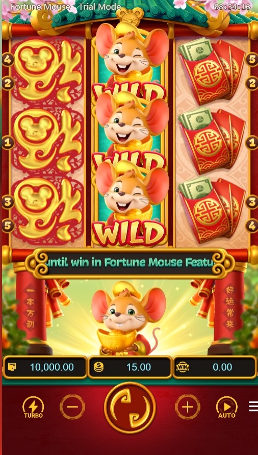 Fortune Mouse