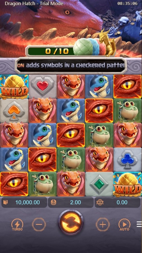 Dragon Hatch