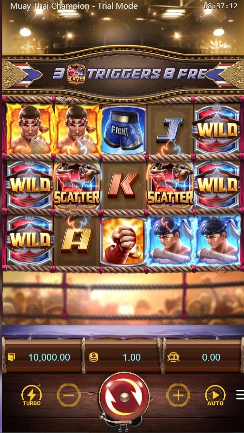 Muay Thai Champion
