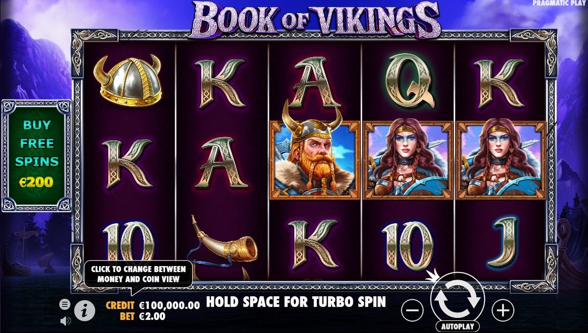 Book of Vikings