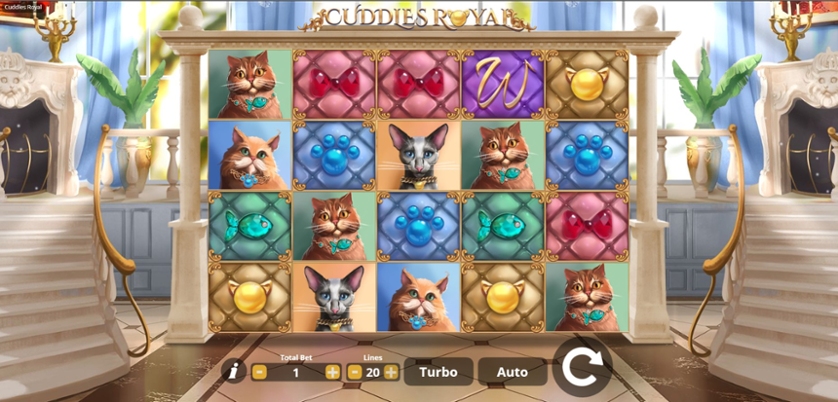 Cuddles Royal