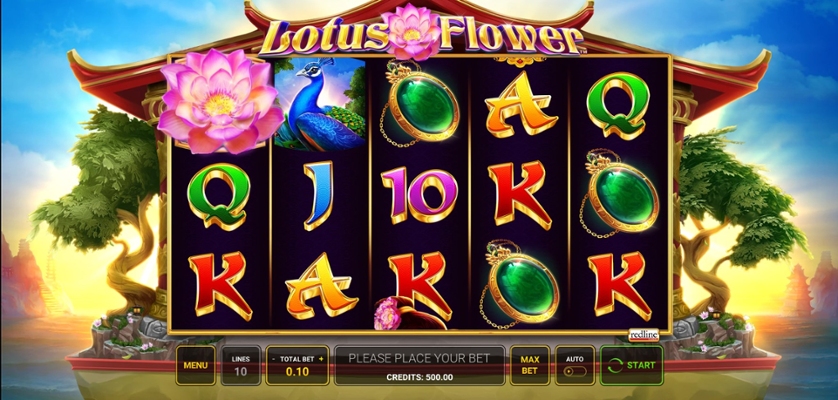 Lotus Flower