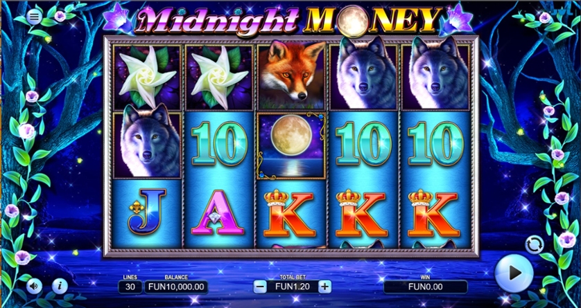 Midnight Money