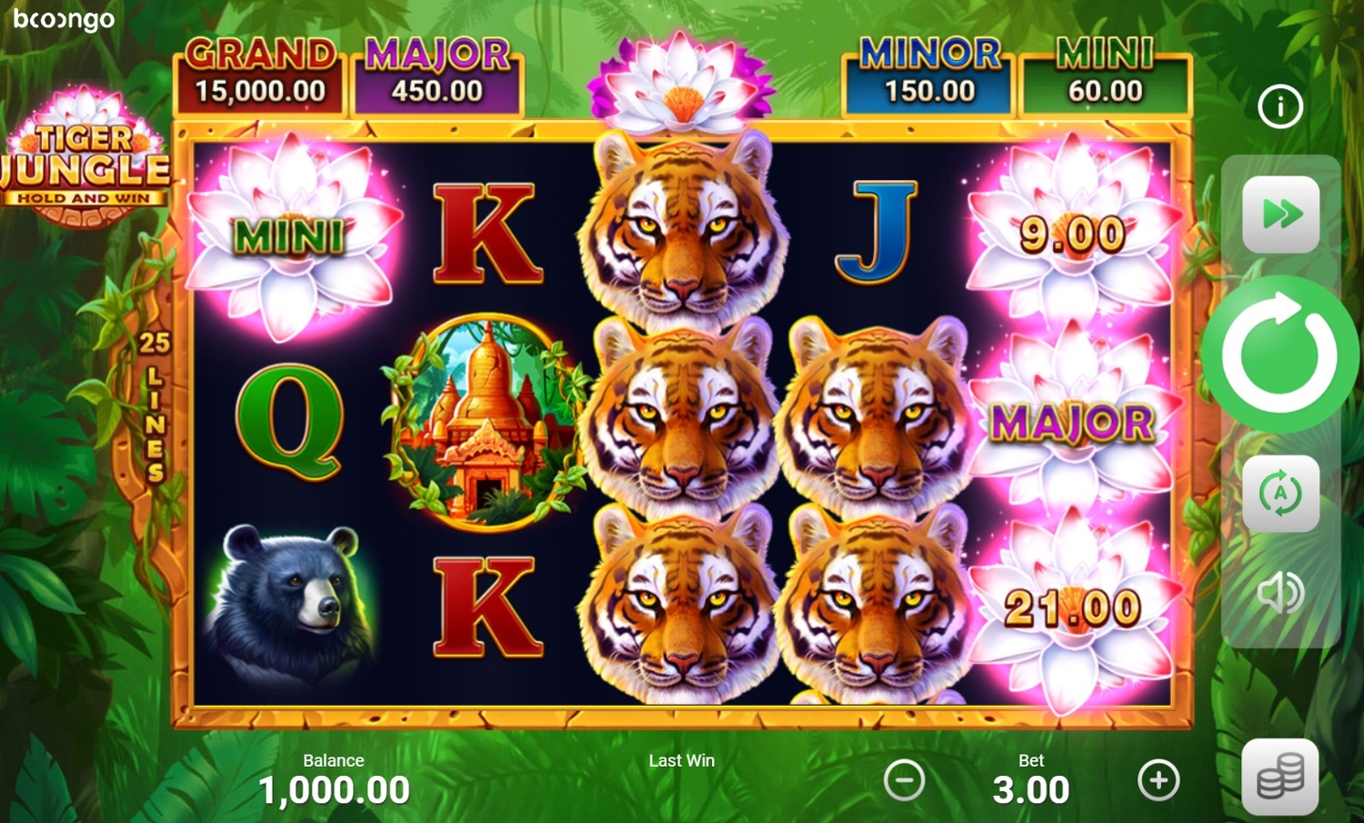 Tiger Jungle