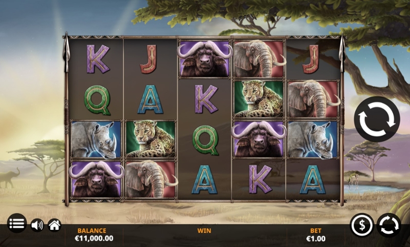 Savanna Roar