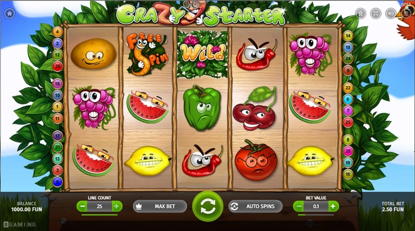 Crazy Starter