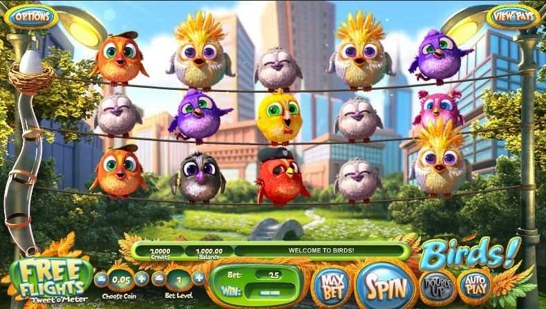 Birds!